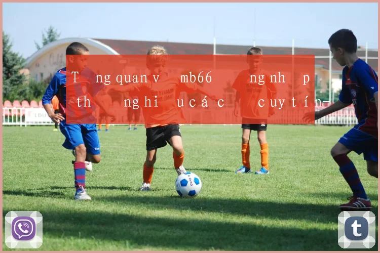 Tổng quan về mb66 đăng nhập thương hiệu cá cược uy tín