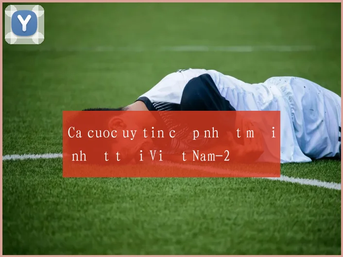 Ca cuoc uy tin cập nhật mới nhất tại Việt Nam